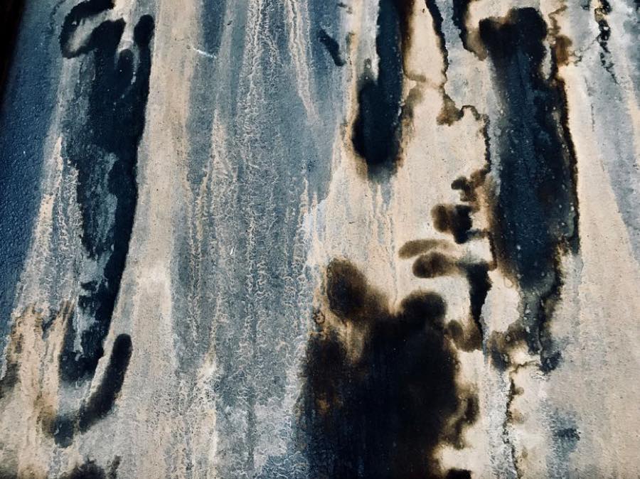Mold spots developing on a damp wall after water exposure